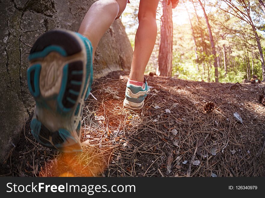 Sports shoes on women`s legs. Sneakers close up. A girl is walking in the woods. A woman runs along a forest trail. Cross-country running. Trail Running. Fisheye lens.