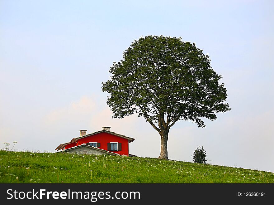 Tree and a red house in front of a green valley in Bosco Chiesanuova, Verona, Italy. Tree and a red house in front of a green valley in Bosco Chiesanuova, Verona, Italy