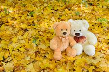 Two Teddy Bears Sitting In The Autumn Leaves Stock Photography