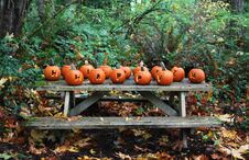 Happy Halloween Holiday Carved Pumpkins Royalty Free Stock Photography