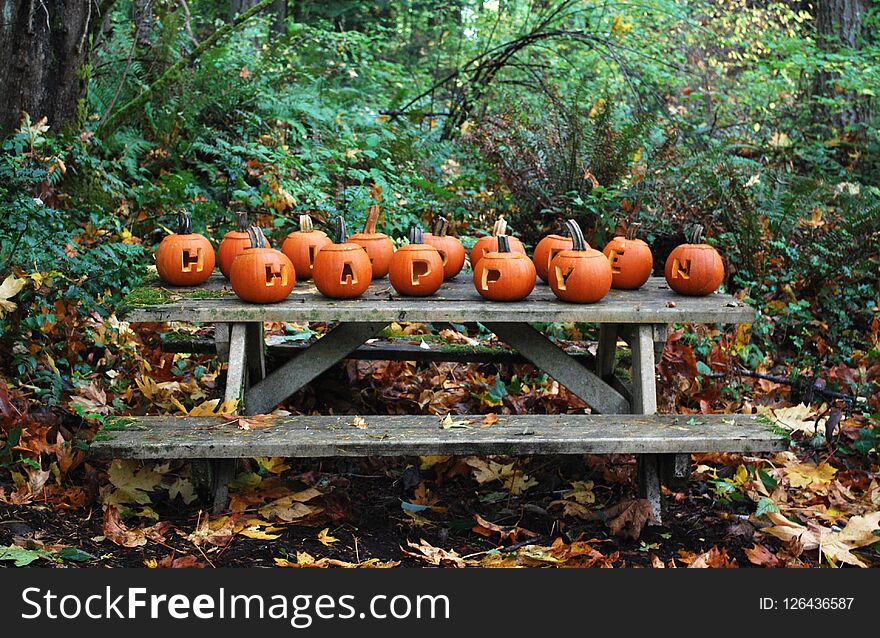 Happy Halloween carved Jack O Lantern Pumpkins in a forest on a picnic table. Happy Halloween carved Jack O Lantern Pumpkins in a forest on a picnic table