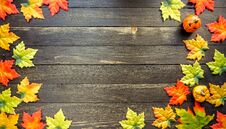 Autumn Leaves On Table Royalty Free Stock Image