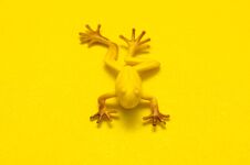 Plastic Toy Frog On Yellow Background Royalty Free Stock Photography