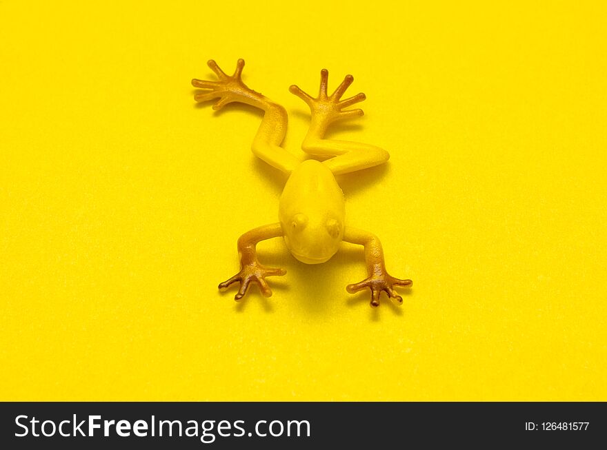 Plastic Toy Frog On Yellow Background