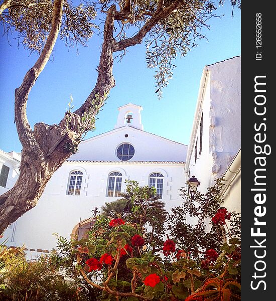 White washed building with flowers and tree in foreground. Blue sky and a church bell. White washed building with flowers and tree in foreground. Blue sky and a church bell