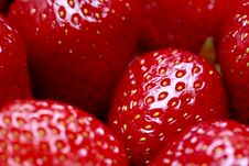 Background From Freshly Harvested Strawberries, Directly Above Royalty Free Stock Image