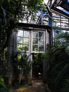 Green Deciduous Jungle With An Abandoned Building Stock Photography