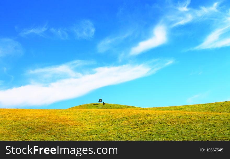 Green field and blue sky