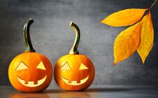 Halloween Pumpkin Lantern With Dry Leaves With Black Background Stock Photos Halloween Pumpkin Lantern With Dry Leaves With Black Background Stock Photos