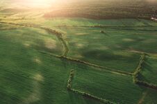 Aerial View Of The Field At Morning Royalty Free Stock Image Aerial View Of The Field At Morning Royalty Free Stock Image