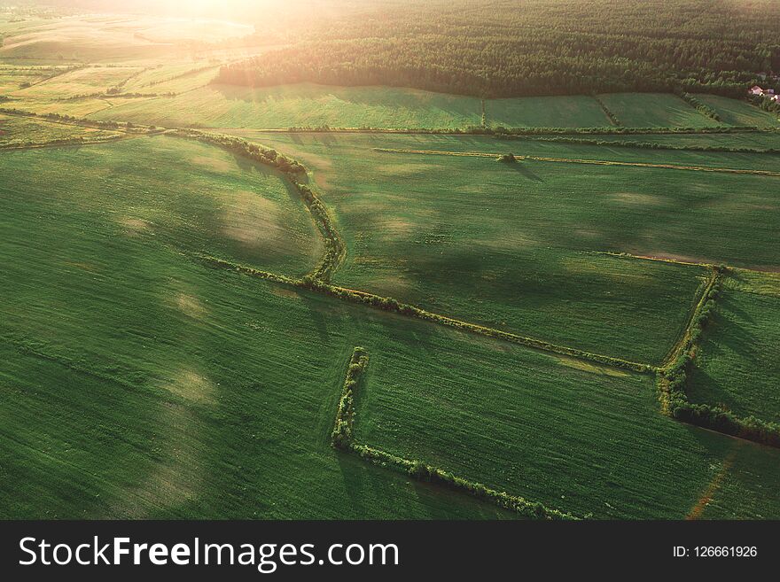 Aerial view of the field at morning