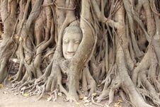 Head Of Sandstone Buddha At Wat Mahathad Temple Royalty Free Stock Photo