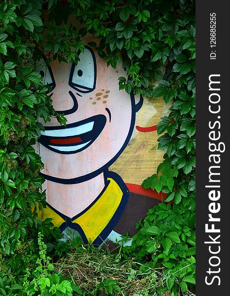 A detailed image of a colored graffiti drawing, which is overgrown in the thickets of ivy. Background street art picture. A detailed image of a colored graffiti drawing, which is overgrown in the thickets of ivy. Background street art picture