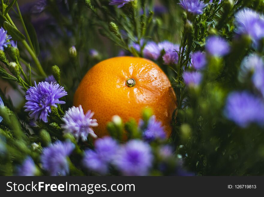 The orange is surrounded by purple flowers.