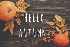 Hello Autumn Text. Hello Fall Sign On Pumpkin, Autumn Vegetables Stock Photos Hello Autumn Text. Hello Fall Sign On Pumpkin, Autumn Vegetables Stock Photos
