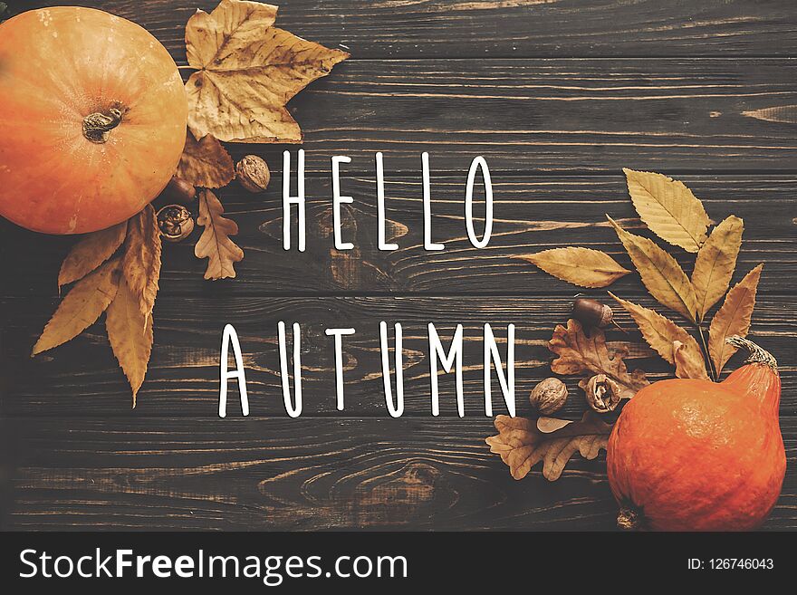 Hello Autumn Text. Hello Fall sign on Pumpkin, autumn vegetables with colorful leaves,acorns,nuts on wooden rustic table, flat lay. Seasons greeting card. Atmospheric image