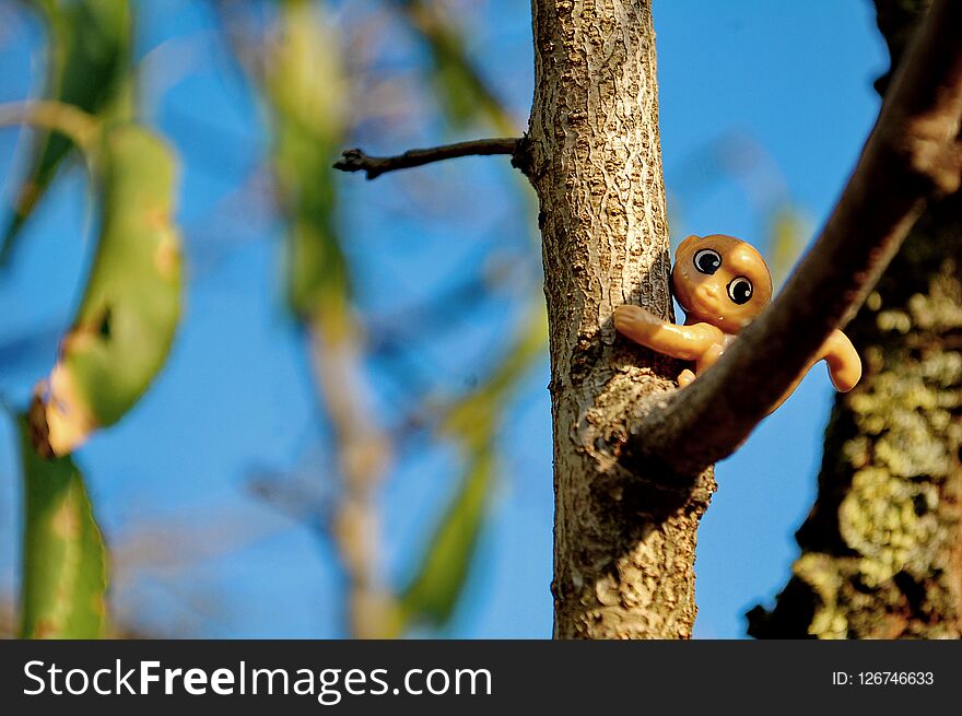 Photography of little monkey toy on tree branch with blue sky in background