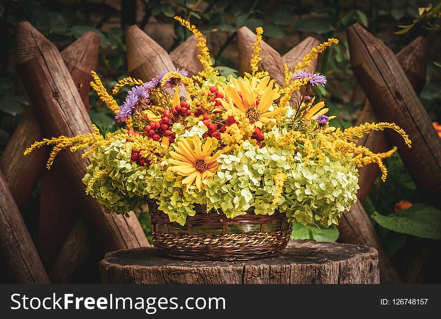 Outdoor Floristic Composition With Summer Flowers.