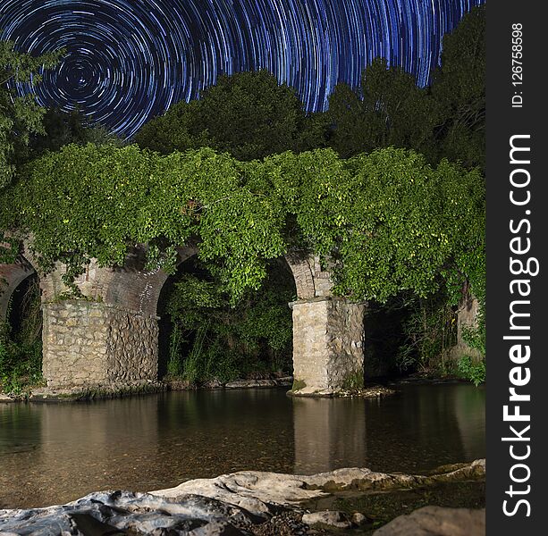 Green bushes growing on columns and calm pond at starry night in long exposure. Green bushes growing on columns and calm pond at starry night in long exposure