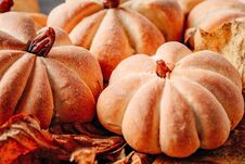 Homemade Cakes In The Shape Of Pumpkin With Autumn Leaves Close Up. Halloween Sweets Concept Stock Image Homemade Cakes In The Shape Of Pumpkin With Autumn Leaves Close Up. Halloween Sweets Concept Stock Image