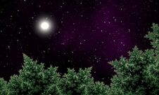 Night Sky Over Pine Forest With Full Moon Stock Photo