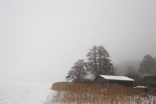 Foggy Winter Royalty Free Stock Images