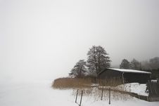 Foggy Winter Royalty Free Stock Photography