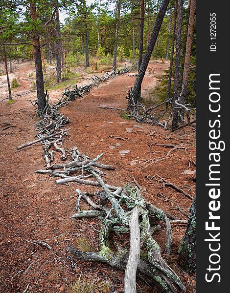 Monastic road on island Valaam. Monastic road on island Valaam