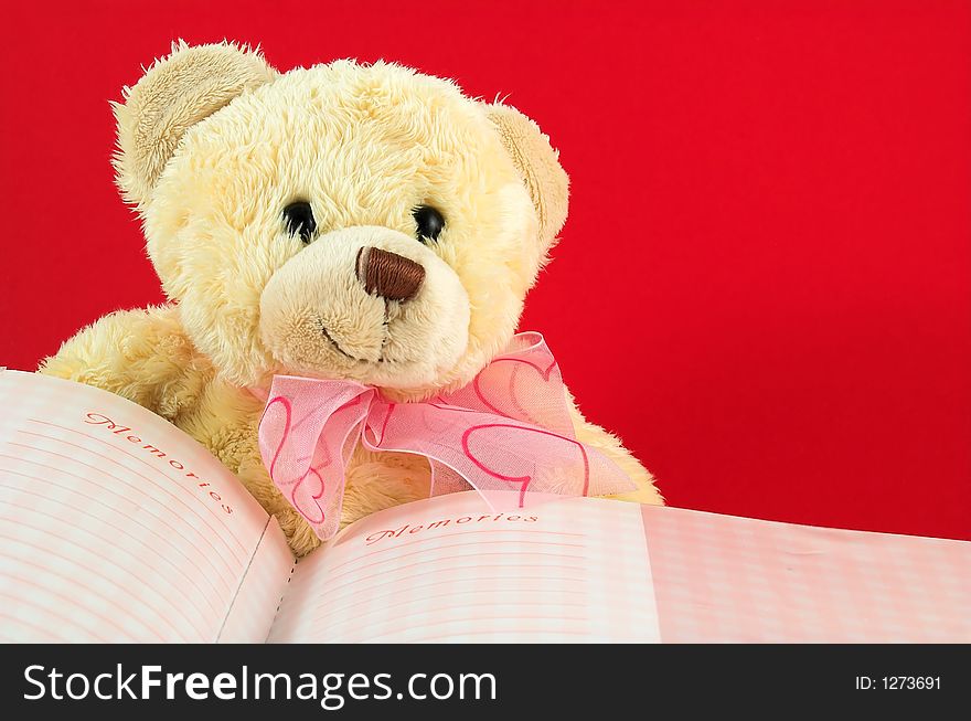 Sweet teddy and memories book in red background. Sweet teddy and memories book in red background