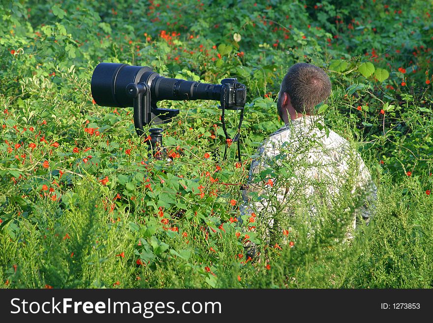 A photographer waiting on a hummingbird