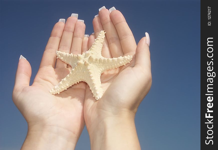 Girl holding a starfish in two palms against blue sky. Girl holding a starfish in two palms against blue sky