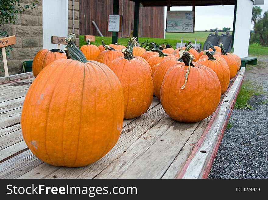 Pumpkins At A Farm Stand