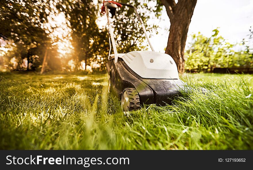 A mowing grass lawn of an electric mower on a sunny summer day. A mowing grass lawn of an electric mower on a sunny summer day.