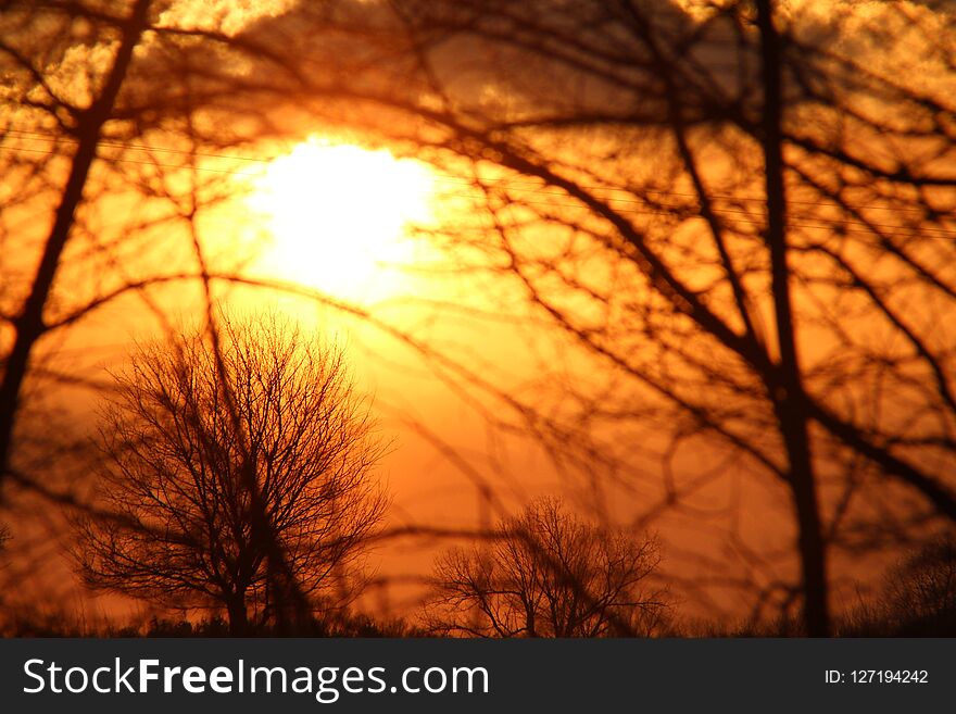 Orange sunset - contryside trees