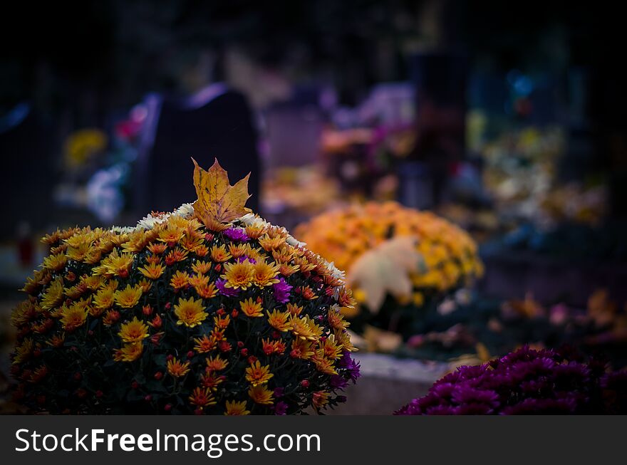 All Saints Day in cemetery at night