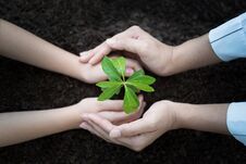 People Hand Group Planting A Seed In Soil Agriculture On Natural Stock Images People Hand Group Planting A Seed In Soil Agriculture On Natural Stock Images