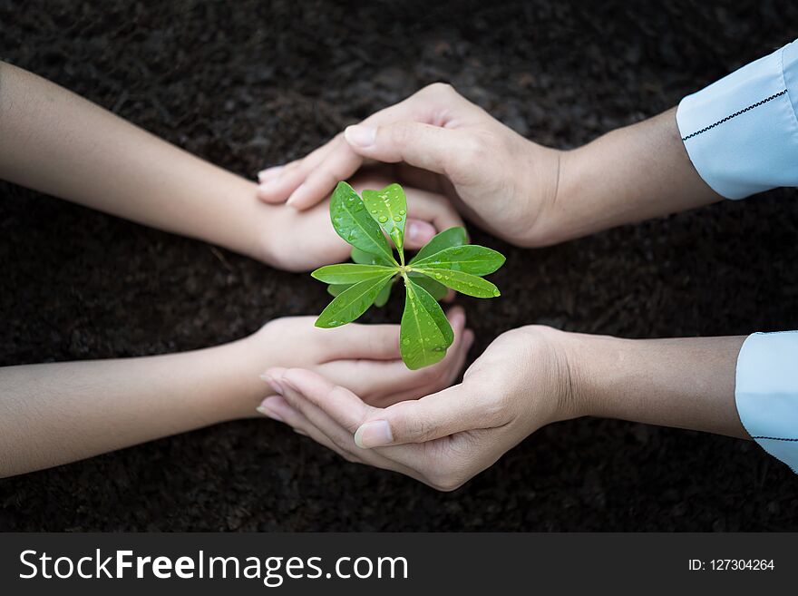 People hand group planting a seed in soil agriculture on natural