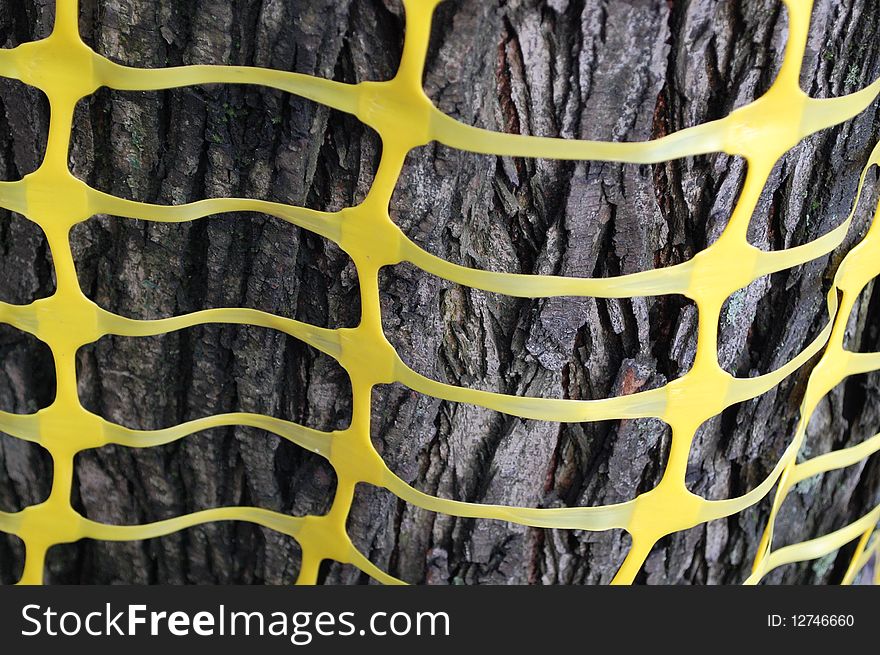 Yellow pattern on a tree
