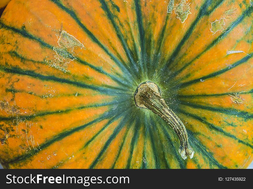 Yellow Pumpkin top view close up. Yellow Pumpkin top view close up