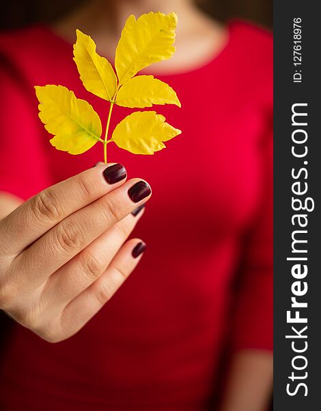 Yellow Autumn Leaf In Female Hands In A Red Dress.