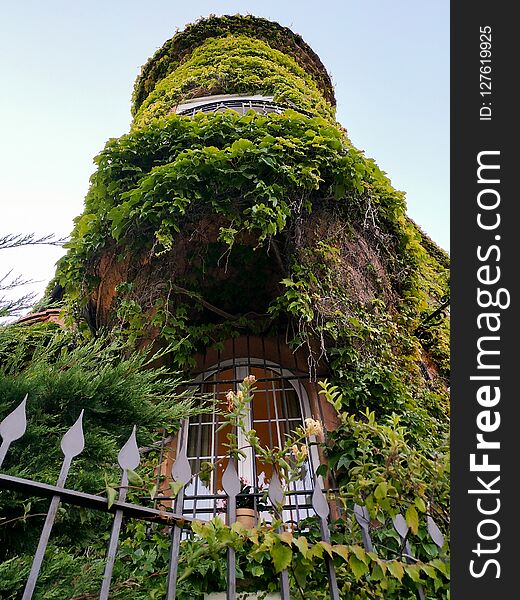 Cannes - Green exterior of house