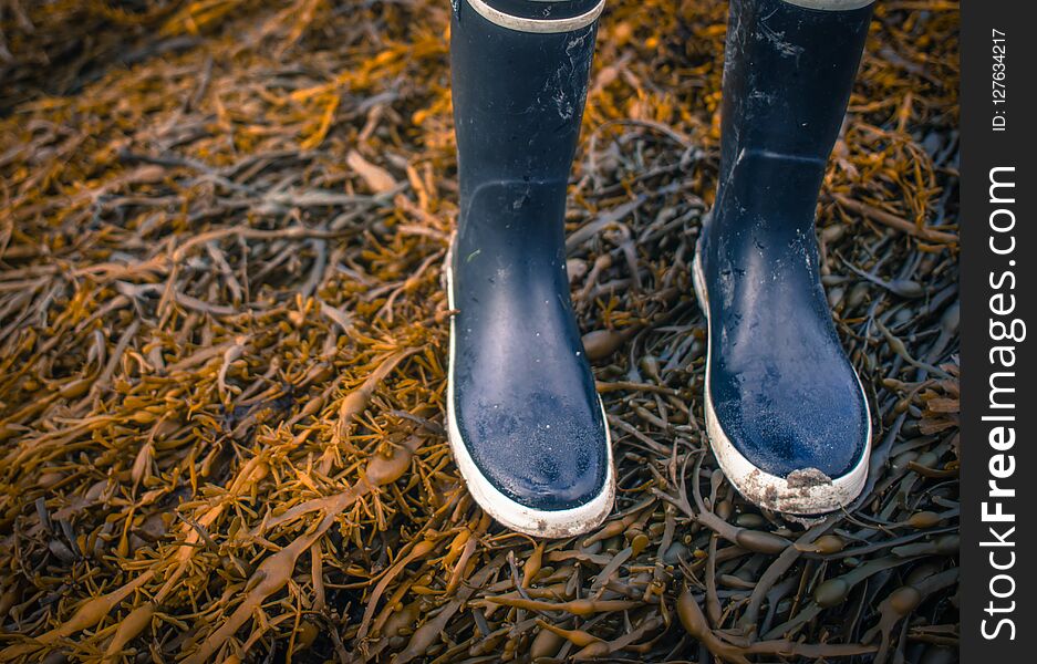 Retro Style Photo Of Wet Rubber Boots Walking On Seaweed On A Beach With Copy Space. Retro Style Photo Of Wet Rubber Boots Walking On Seaweed On A Beach With Copy Space