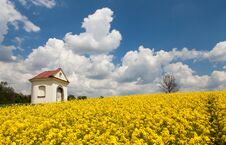 Rapeseed, Canola Or Colza And Small White Chapel Stock Photo Rapeseed, Canola Or Colza And Small White Chapel Stock Photo