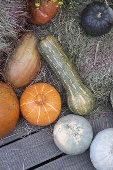 Composition Of Pumpkins With Hay At Wood Background Stock Photo
