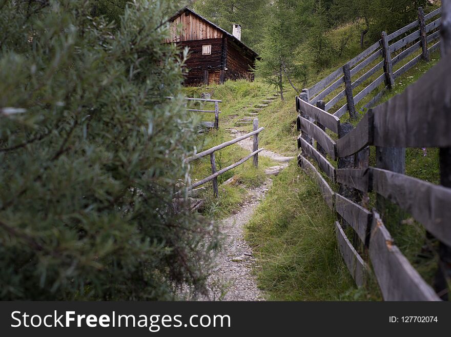 Background with wooden cottage in the forest. Background with wooden cottage in the forest