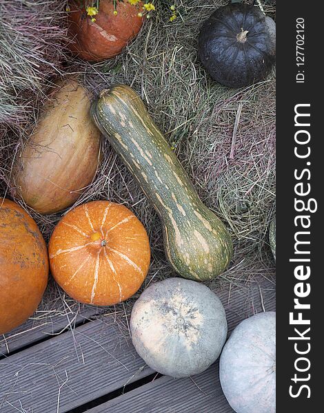 Composition of pumpkins with hay at wood background