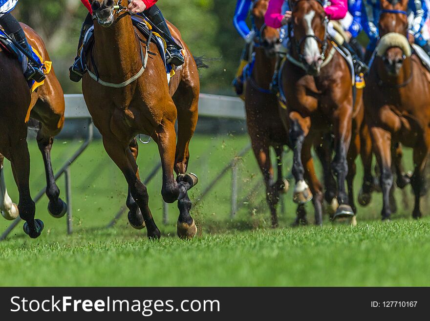 Race Horses Running Legs Hoofs Track Close Up