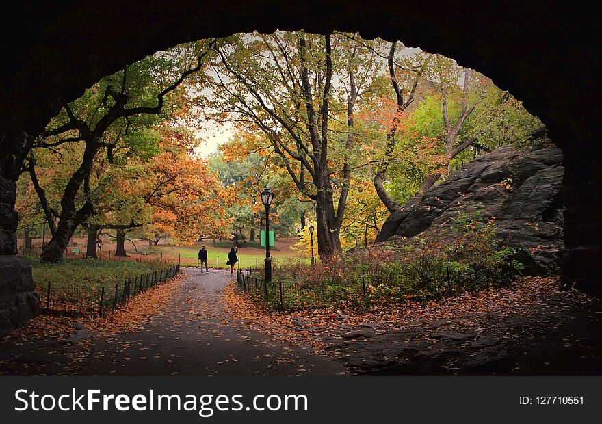 Colorful Central Park