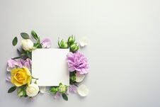 Flat Lay Composition With Beautiful Blooming Flowers Royalty Free Stock Images Flat Lay Composition With Beautiful Blooming Flowers Royalty Free Stock Images