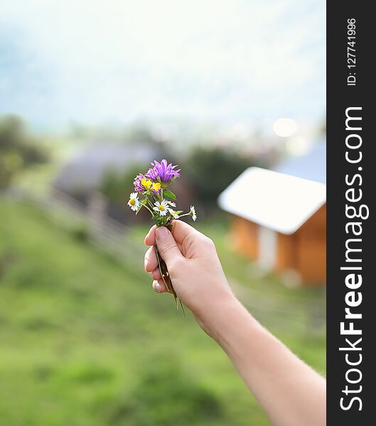 Woman Holding Bouquet Of Beautiful Meadow Flowers